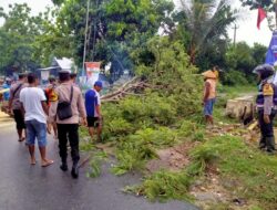 Polsek Sukolilo dan Warga Bersatu Evakuasi Pohon Tumbang Akibat Hujan Lebat