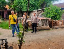 Tindaklanjuti Laporan Warga, Polsek Wedarijaksa Gerebek Lokasi Sabung Ayam di Trangkil
