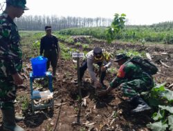 Karya Bakti TNI di Desa Regaloh Tlogowungu Dihadiri Kapolresta Pati