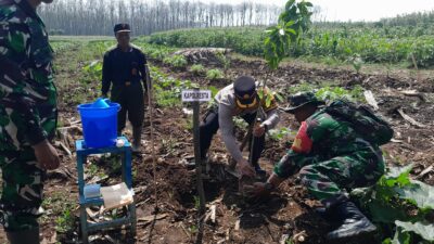 Karya Bakti TNI di Desa Regaloh Tlogowungu Dihadiri Kapolresta Pati