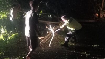 Bersama Warga, Anggota Polsek Tulis Bersihkan Pohon Tumbang Di Desa Kenconorejo