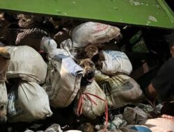 Polisi Amankan Truk Pengangkut 226 Anjing Terikat di Semarang