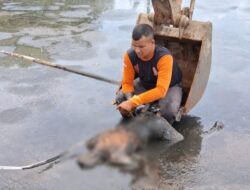 Pria Berbaju ‘Bawaslu’ Ditemukan Tewas di Kolam Tinja Semarang