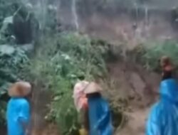 Akibat Diguyur Hujan, Tebing Tanah di Pemalang Setinggi 5 Meter Longsor