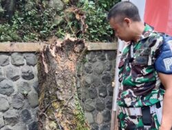 Pegawai Kesbangpol Wonosobo Tewas usai Tertimpa Pohon Saat Bersihkan APK