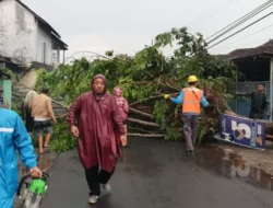 Hujan Angindi Sukoharjo, Sejumlah Rumah Rusak hingga Pohon Tumbang