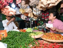 Kunjungi Pasar Wonogiri, Jokowi tinjau stok dan harga pangan