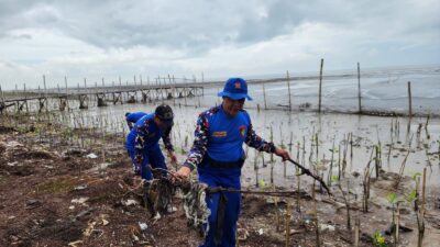 Pantai Lestari Arnavat, Satpolairud Polresta Pati Lakukan Perawatan Mangrove di Pesisir Pantai Bulumanis