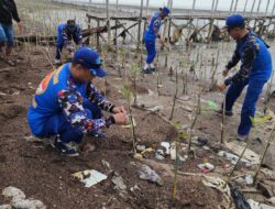 Upaya Bersama: Masyarakat dan Satpolairud Pati Bersihkan Sampah di Sekitar Tanaman Mangrove