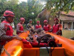 Dramatis! Brimob Polda Jateng Evakuasi Lansia Korban Banjir