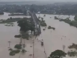 Tergenang Banjir Luapan Sungai Tuntang, Jalur Pantura Jalan Semarang-Purwodadi Lumpuh Total!