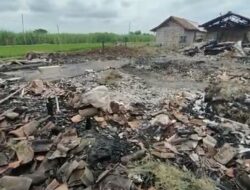 6 Sapi Jumbo dan 3 Kambing Ikut Terpanggang saat Kebakaran Kandang Ternak di Rembang