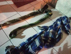 Tragis! Saat Bangunkan Warga Sahur, Remaja Semarang Ini Disabet Celurit Preman