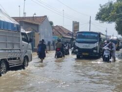 Delapan Desa di Brebes Terendam Banjir Akibat Sungai Cisanggarung Meluap