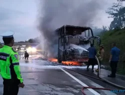Ini Kata Investigator Senior KNKT soal Bus Rosalia Indah Terbakar di Tol Boyolali