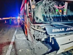 Dua Penumpang Bus Warga Madura Tewas Ditabrak Truk di Brebes, Berawal Dari Bus Mogok