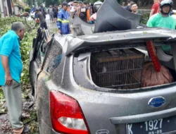 Sebuah mobil tertimpa pohon tumbang di tanjakan Tanah Putih Semarang