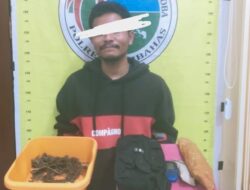 Sapu Bersih Narkoba, Polres Humbahas Tangkap Pelaku dari Simarpinasa