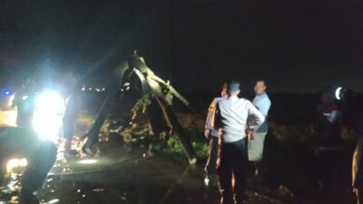 Quick Respon, Polisi Evakuasi Pohon Tumbang Melintang di Jalan Margorejo Pati