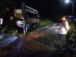 Respon Cepat, Evakuasi Pohon Tumbang Melintang di Jalan Margorejo Pati