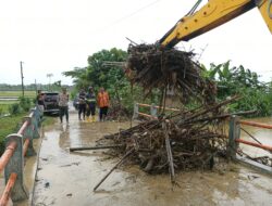 Cegah Banjir, Polsek Jakenan Bersama DPU Kerahkan Alat Berat Bersihkan Sampah di Sungai