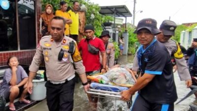 Heroik, Petugas Gabungan Evakuasi Lansia Terjebak Banjir di Juwana Pati