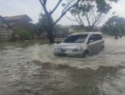 Akibat Banjir, Jalan Pantura Demak Lumpuh, Jalur Alternatif Juga Sulit Dilalui karena Terendam