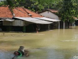 Lalin Lumpuh Total Akibat Pantura Karanganyar Demak Masih Terendam Banjir