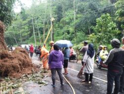 Akibat Tebing 15 Meter di Kaliangkrik Longsor, Jalan Magelang-Wonosobo Sempat Ditutup