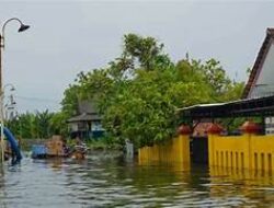 Banjir Karanganyar Demak Sudah Sampai Permukiman Warga di Wonoketingal