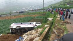 Minibus Terguling di Banjarnegara, 4 Penumpang Masih Dirawat, Sopir Diperiksa Polisi