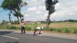 Satu Orang Tewas dalam Kecelakaan Motor Tabrak Truk di Banyuwangi