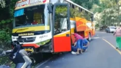 Bus Harapan Baru Kecelakaan Tunggal di Jalur Gumitir Banyuwangi, Seperti Ini Kondisinya