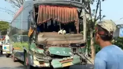 Kecelakaan Bus ALS Tabrak Truk di Mejobo Kudus, Sang Sopir Dilarikan ke RS