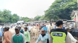 Pengamanan Polsek Kragan Rembang di Pasar Hewan Kragan Antisipasi Tindakan Kriminal