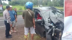 Kecelakaan di Alasmalang Banyuwangi: Honda Mobilio Hantam Pohon, Mobil Rusak Parah tapi Tak Ada Korban Jiwa