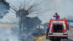 Waspada! Kemarau Rawan Kebakaran Lahan Pinggir Tol Pejagan-Pemalang