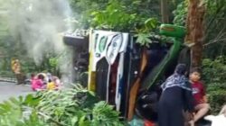 Kecelakaan Bus Pariwisata di Bojonglarang Pekalongan, Tim SAR Evakuasi Penumpang