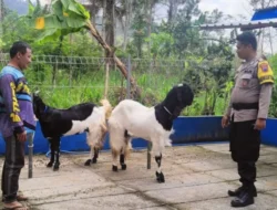 Sambangi Peternak, Bhabinkamtibmas Wonosobo Antisipasi Penyakit Mulut dan Kuku