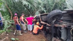 Mikrobus Terguling ke Kebun Salak di Banjarnegara akibat Tidak Kuat Menanjak