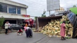 Truk Terguling di Pantura Kendal, Warga Berebut Jarah Duku yang Tumpah