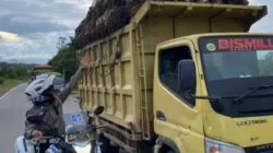 Polisi Perketat Penertiban Kendaraan ODOL di Lamandau